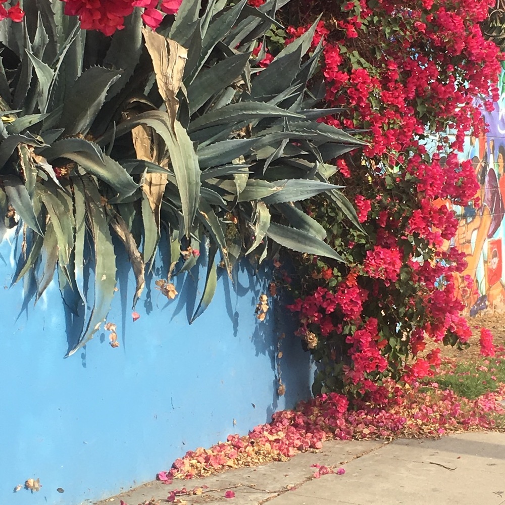 Meet your Posher, Rosalie